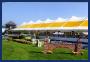 hamptonsyellowtent