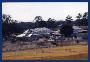 horseshow2