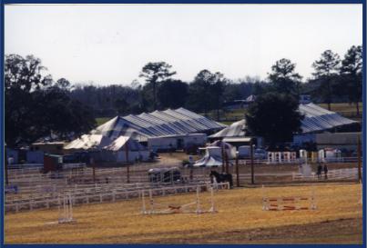horseshow2a